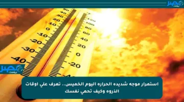 استمرار موجة شديدة الحرارة اليوم الخميس.. تعرف على أوقات الذروة وكيف تحمي نفسك